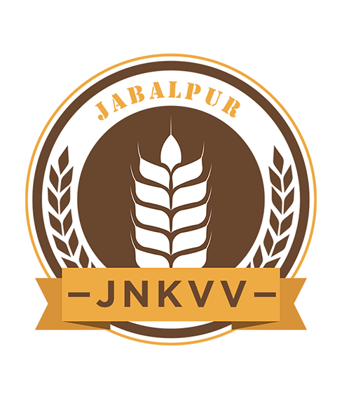 jnkvv